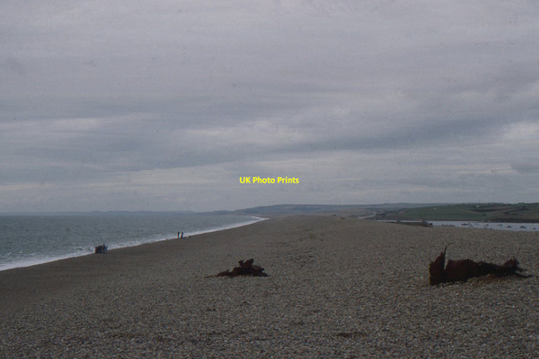 Photo 6"x4" Looking along Chesil Bank from the Portland end Fortuneswell c1994