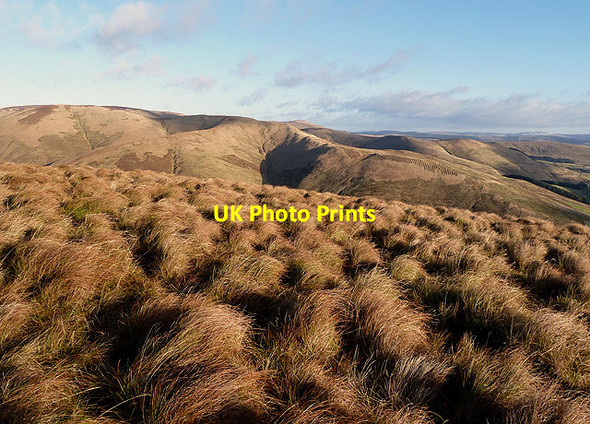Photo 6"x4" Rough grazing on Geordie's Hill Gorrenberry c2012