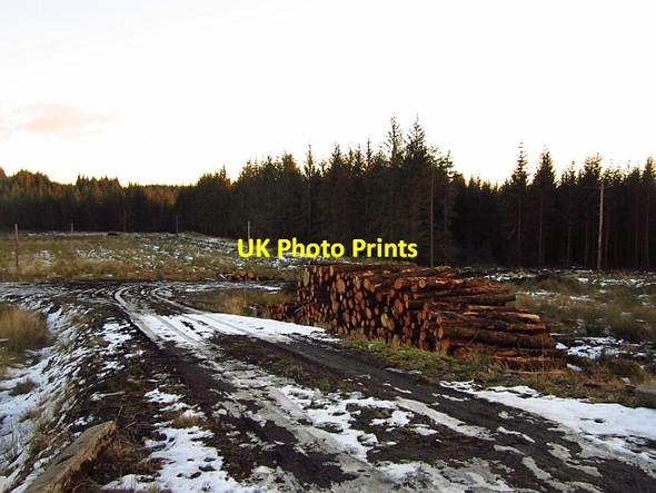 Photo 6"x4" Log stack, Torrie Forest Callander c2012