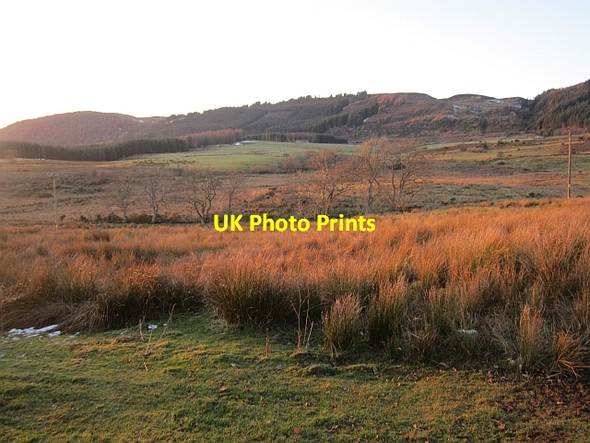 Photo 6"x4" Damp pasture Port of Menteith c2012