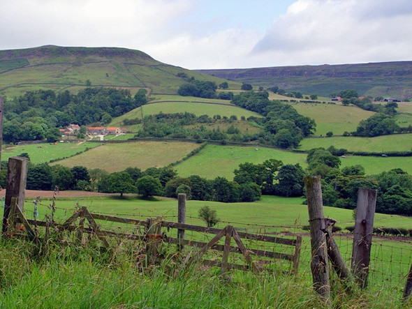 Photo 6"x4" Farmland in Farndale Church Houses c2008