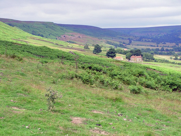 Photo 6"x4" Wilson House, Farndale Church Houses c2008