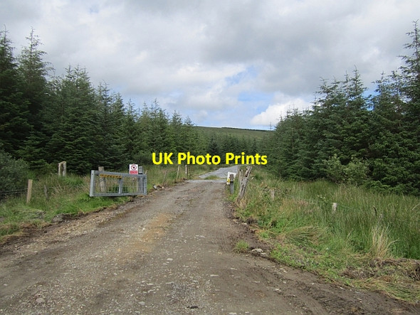 Photo 6"x4" Forest road, Hill Head Commeen c2012