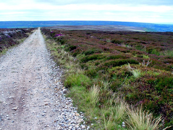 Photo 6"x4" West Gill Head, above Farndale Church Houses c2008