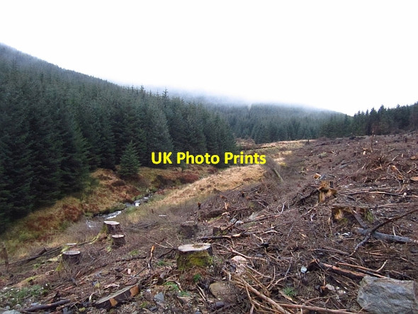 Photo 6"x4" Invervegain Glen Clachaig\/NS1181 c2012