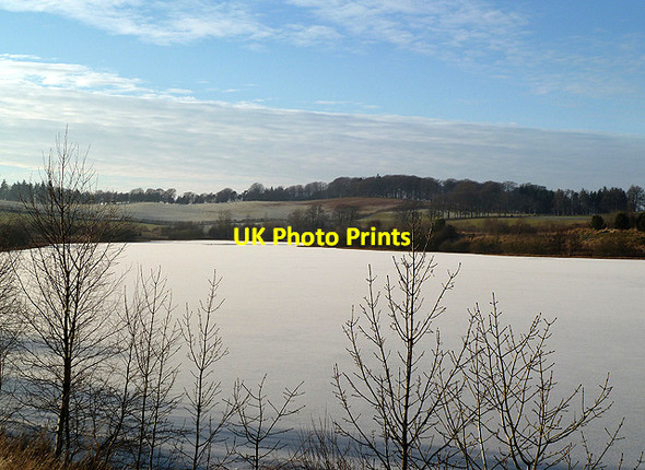 Photo 6"x4" Lindean Reservoir Greenhead\/NT4929 c2012 P1