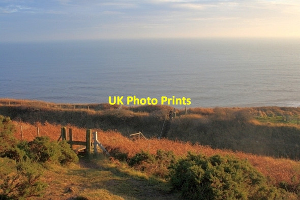 Photo 6"x4" Footpath Crossing the Railway Line Easington Colliery c2012