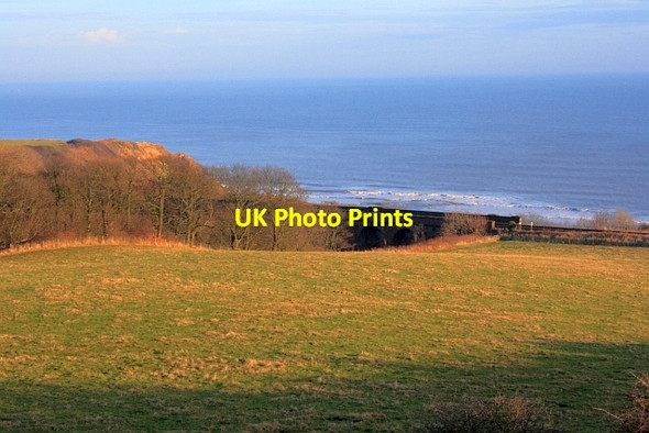 Photo 6"x4" Hawthorn Burn Viaduct Easington Colliery c2012