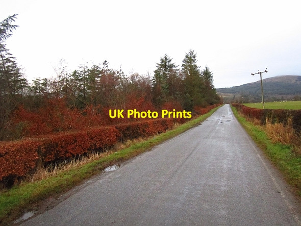 Photo 6"x4" Straight road, Ardyne Port Bannatyne c2012