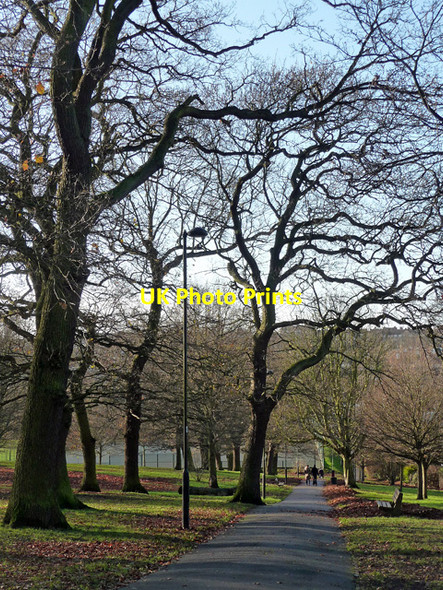 Photo 6"x4" Norwood Park (15) Streatham c2012