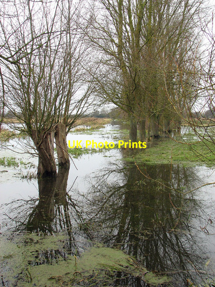 Photo 6"x4" Marsh pastures in winter Dockeney c2012