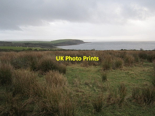 Photo 6"x4" Field, Corra Ardlamont Bay c2012