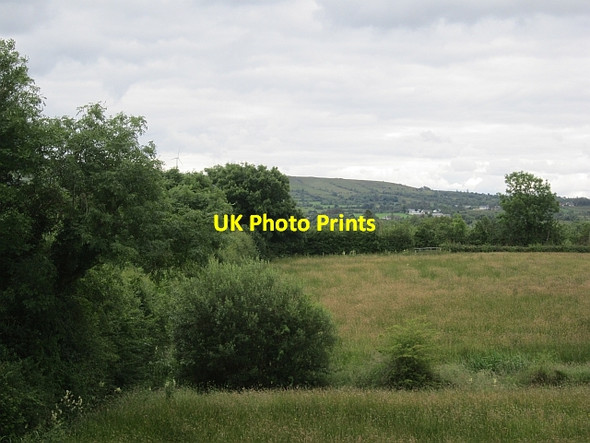 Photo 6"x4" A grass crop Belleek c2012