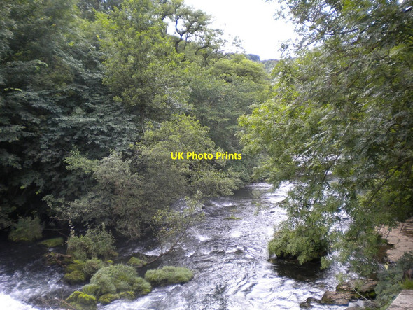 Photo 6"x4" Below the weir in Monsal Dale Little Longstone c2012