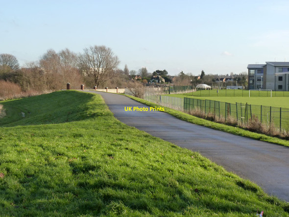 Photo 6"x4" Trentside embankment  West Bridgford c2012