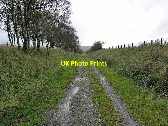 Photo 6"x4" Path of old railway across Cors Caron Swyddffynnon c2005