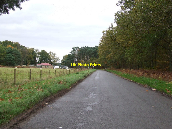 Photo 6"x4" Country Road West Tofts\/TL8392 c2012