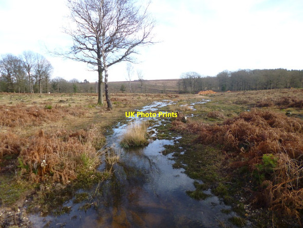 Photo 6"x4" Slufters Inclosure, brook Stoney Cross c2012