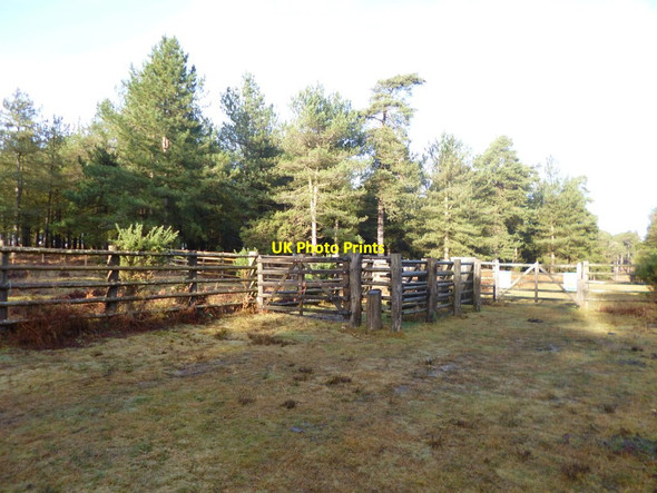 Photo 6"x4" Slufters Inclosure, pound Stoney Cross c2012