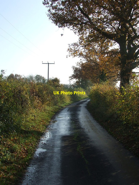 Photo 6"x4" Country Lane Washmere Green c2012