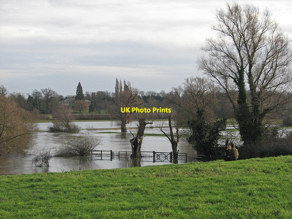 Photo 6"x4" Flooded Grantchester Meadows Grantchester c2012