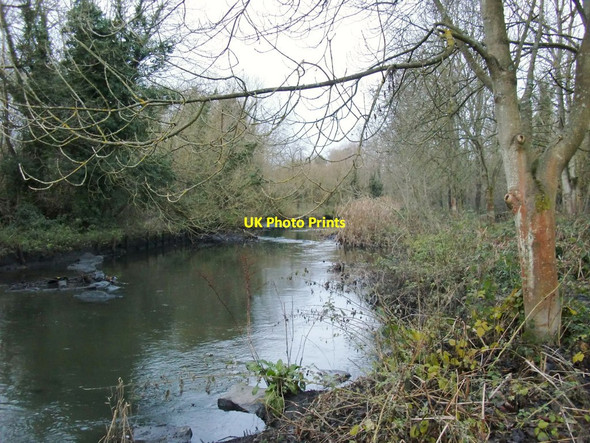 Photo 6"x4" The River Crane in December Twickenham c2012