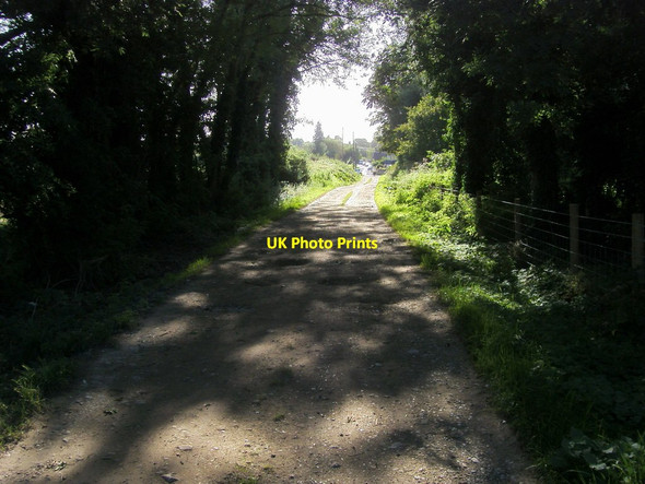Photo 6"x4" Bridleway heading to Buckland Buckland\/SU3498 c2012