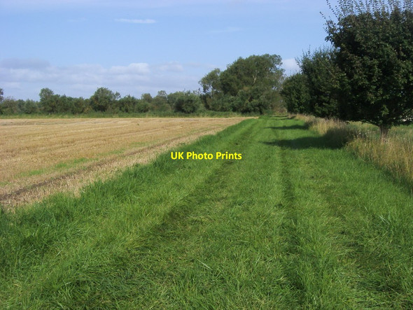 Photo 6"x4" Path heading towards Radcot Bridge Radcot c2012