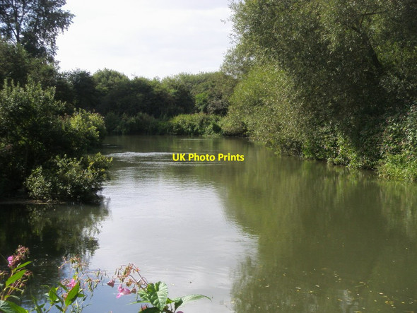 Photo 6"x4" River Thames Buckland\/SU3498 c2012