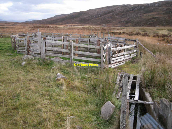 Photo 6"x4" Sheep fank at Slaggan Mellon Charles c2012