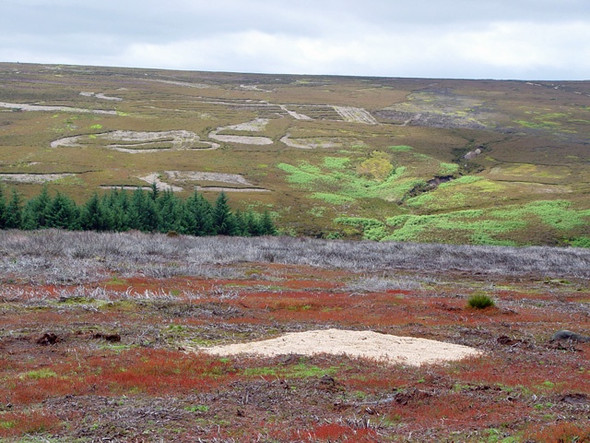 Photo 6"x4" Patchwork on the moors Cockayne c2008