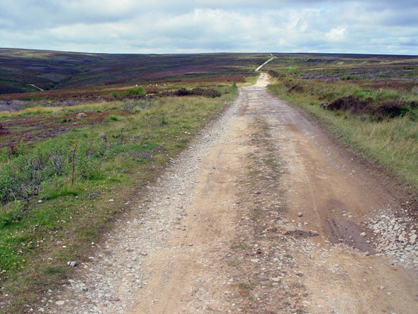 Photo 6"x4" Towards Bloworth Crossing Cockayne c2008