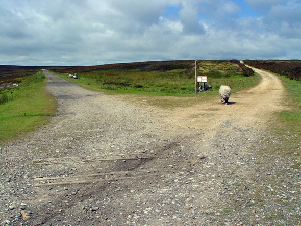 Photo 6"x4" Bloworth Crossing, North York Moors Cockayne c2008