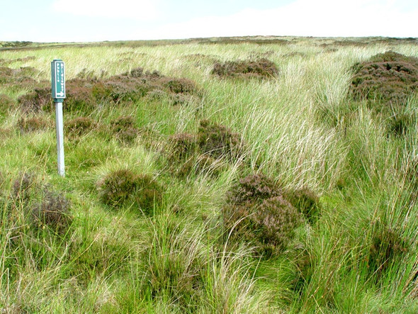 Photo 6"x4" Public Bridleway to Farndale Cockayne c2008