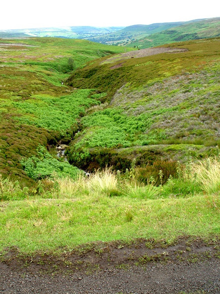 Photo 6"x4" Tributary to the River Dove Cockayne c2008