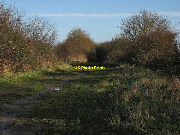 Photo 6"x4" Chalky Road Linton\/TL5646 c2012