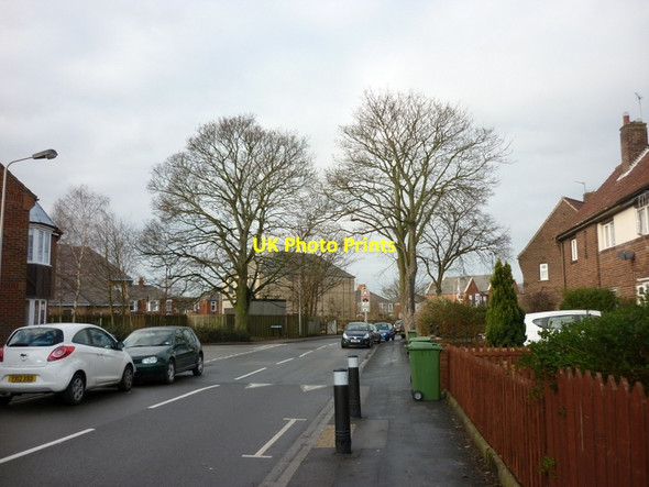 Photo 6"x4" Cherry Tree Lane, Beverley Beverley c2012