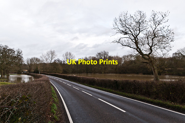 Photo 6"x4" Flanchford Road Leigh\/TQ2246 c2012 P1