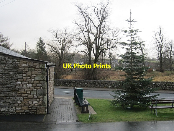 Photo 6"x4" Christmas tree, Orton Orton\/NY6208 c2012