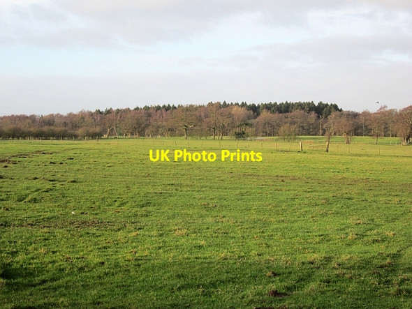 Photo 6"x4" Gleaves Hill Five Lane Ends\/SD5053 c2012