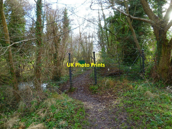 Photo 6"x4" Gate on bridleway in Burton Park Duncton c2012
