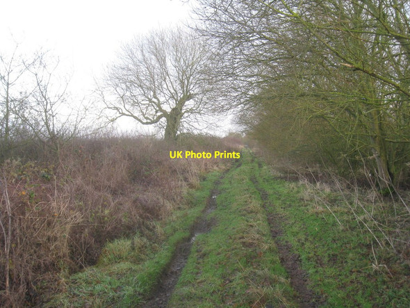 Photo 6"x4" Bridleway between Gibbet Lane and Mill Lane Buslingthorpe c2012