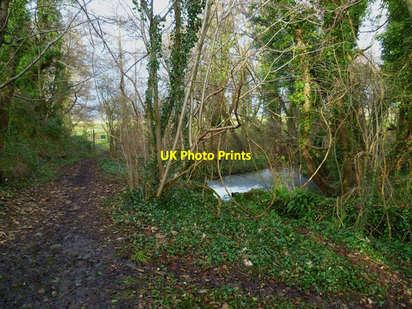 Photo 6"x4" Bridleway between ponds Duncton c2012