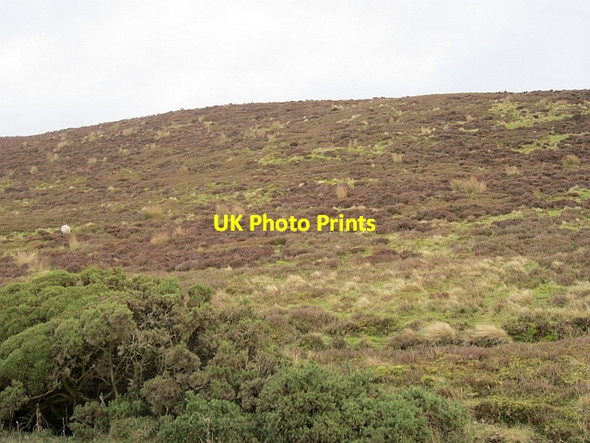 Photo 6"x4" Harrisend Fell Oakenclough\/SD5447 c2012