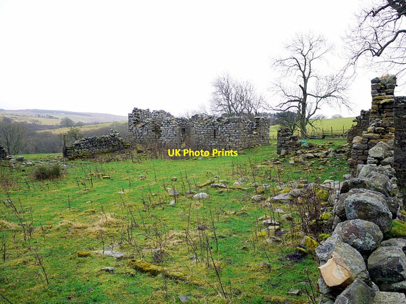 Photo 6"x4" Ruin of Winter House Dalton\/NY9158 c2012