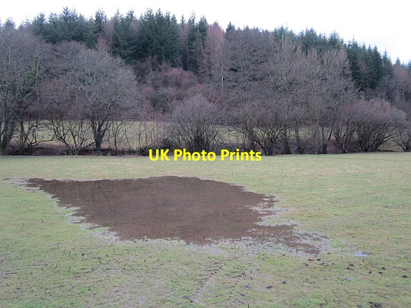 Photo 6"x4" Waterlogged field near Ballsgate Common Lower Lye\/SO4066 c2012