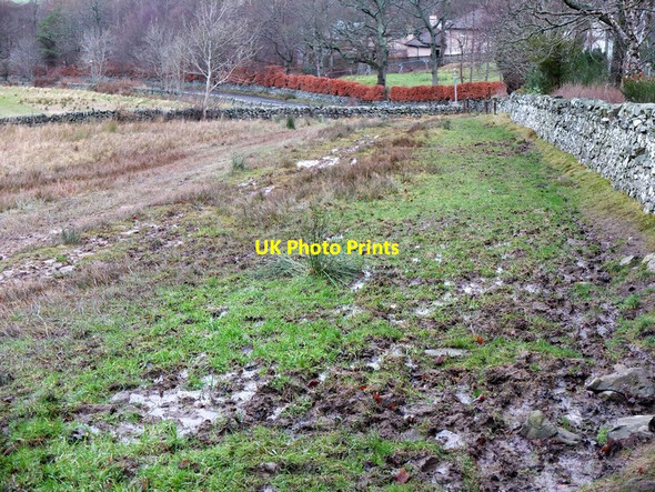 Photo 6"x4" Soft going on the John Buchan Way Peebles\/NT2540 c2012