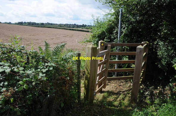 Photo 6"x4" Footpath to Clehonger Breinton Common c2012