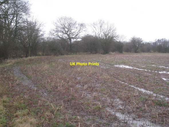 Photo 6"x4" Wet field off Storrs Lane Owston\/SE5511 c2012