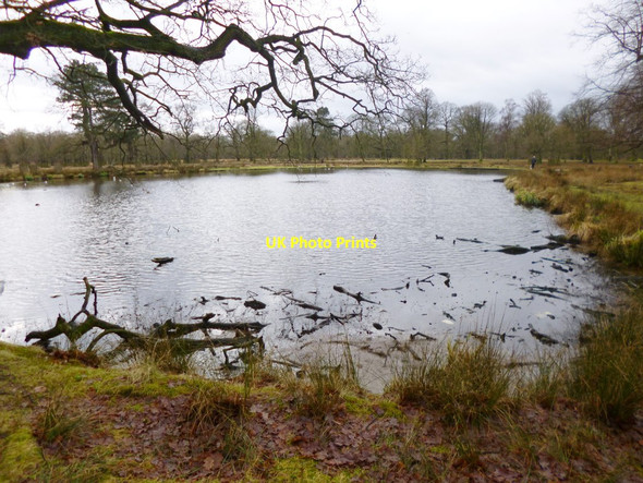 Photo 6"x4" Dunham Massey, Smithy Pool Dunham Town c2012